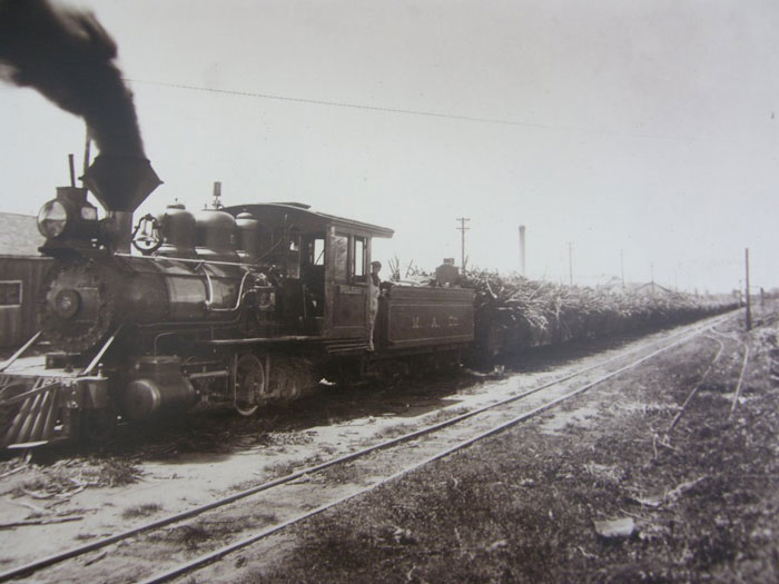 HCS_Train-1_b5bae4227c029716a1cd46637f5f9bd5